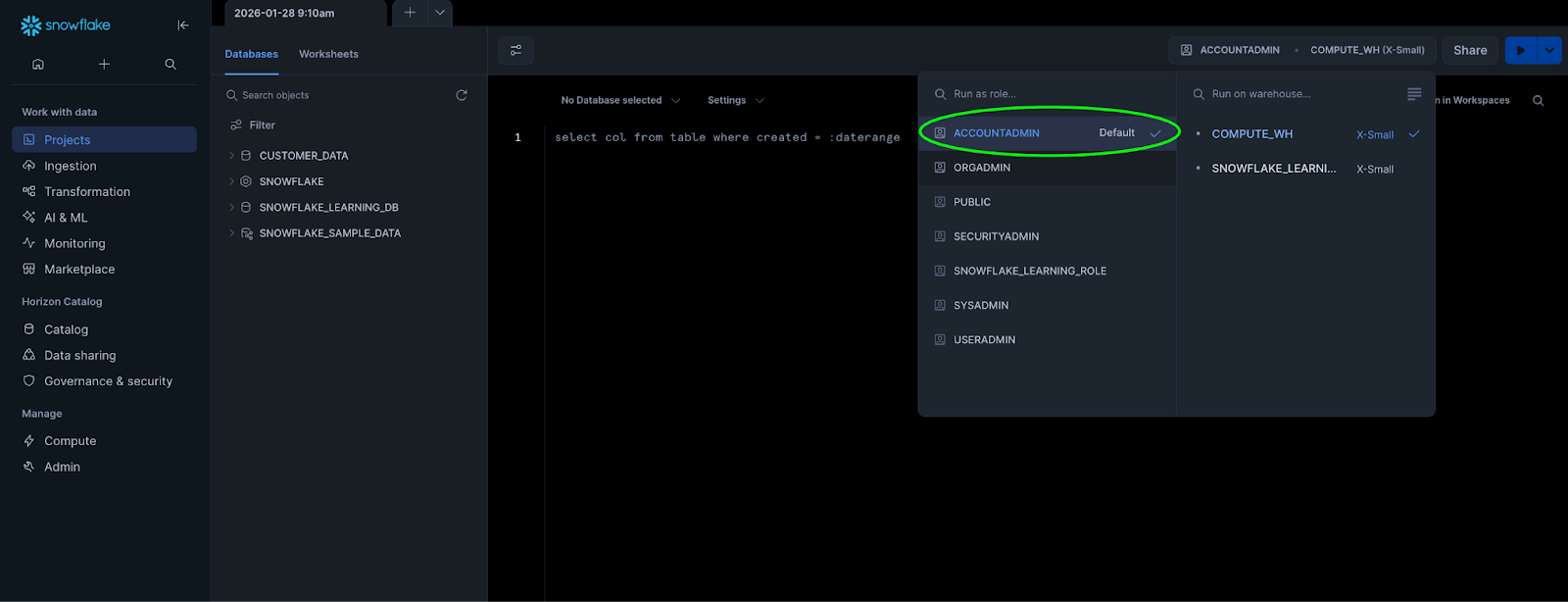 Role selector in worksheet